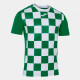 Футболка JOMA 101465.452 Flag Ii T-shirt Green-white S/s