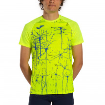 Футболка JOMA 102755.067 Elite Ix Short Sleeve T-shirt Fluor Yellow