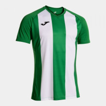 Футболка JOMA 103720.452 Camiseta Manga Corta Inter Iv Verde Blanco