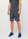 Шорти JOMA AT102369B150 Fed. Futbol Ucrania Short Anthracite