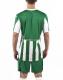 Футболка JOMA 100001.450 T-shirt Copa Green-white S/s