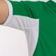 Футболка Joma 100683.452 T-shirt Champion Iv Green-white S/s