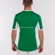 Футболка Joma 100683.452 T-shirt Champion Iv Green-white S/s