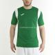 Футболка JOMA 100446.450 T-shirt Dinamo Green S/s